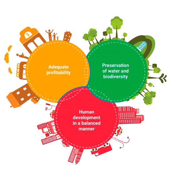 Concepta Ingredients  Sustainable Ingredients